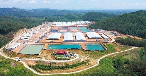 BAF Việt Nam đề xuất xây hai dự án cao tầng nuôi lợn đầu tiên tại Việt Nam