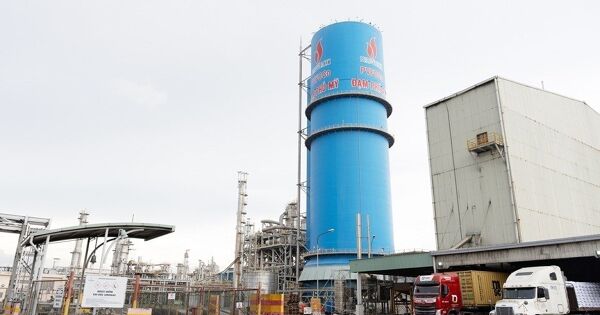 Đạm Phú Mỹ chốt chia cổ tức, chia thưởng 'khủng' gần 89%