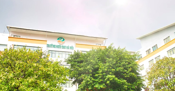 Tập đoàn EQuest tố giác cổ đông sáng lập Hệ thống Giáo dục Ngôi Sao Hà Nội có dấu hiệu tham ô, lừa đảo chiếm đoạt tài sản