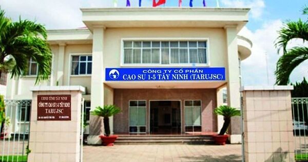 Một công ty cao su lập kỷ lục, lãi bán niên gấp 3,7 cùng kỳ
