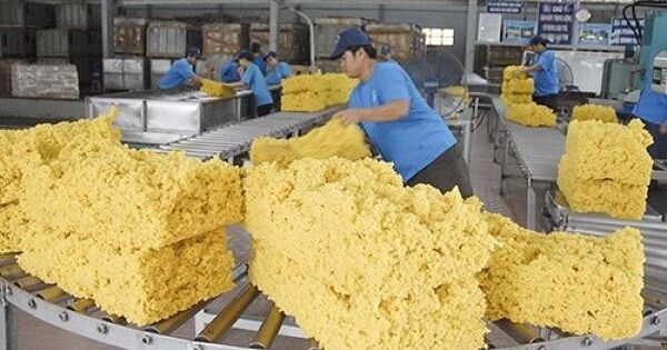 Để xuất khẩu cao su đạt 3,3 tỷ USD