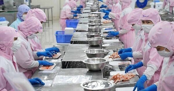 Hai kịch bản trái chiều cho thuỷ sản Việt nửa cuối 2025 dưới áp lực thuế Mỹ