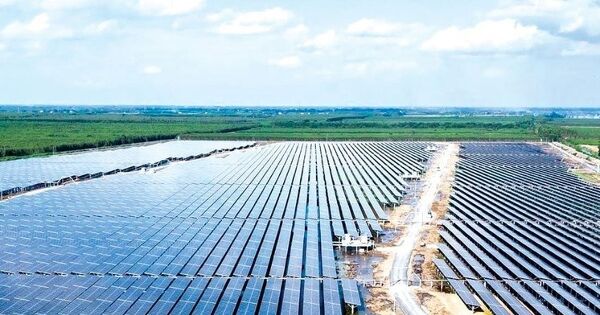 BCG Energy chuyển từ lãi sang lỗ kỷ lục 766 tỷ đồng năm 2024