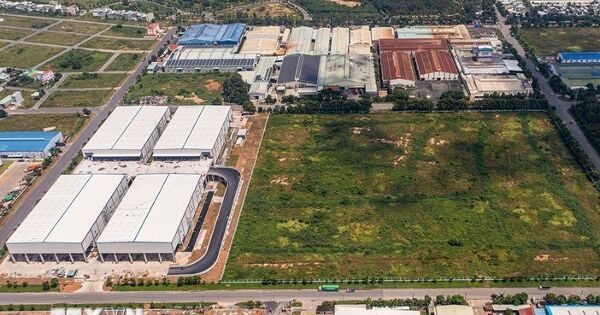 Tiếp tục miễn thuế sử dụng đất nông nghiệp đến hết năm 2030