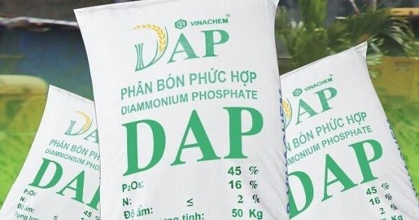 Tăng nguồn thu từ DAP và amoniac, lợi nhuận một công ty phân bón quay về vùng đỉnh