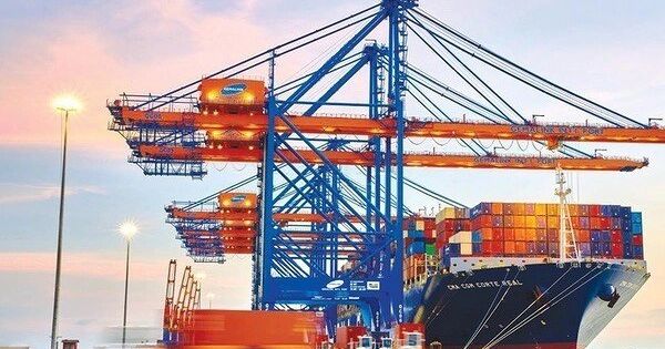 Gemadept lãi lớn, dòng tiền kinh doanh dương hơn 1.000 tỷ đồng