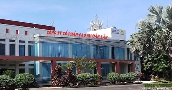 Đầu tư Cao su Đắk Lắk lãi kỷ lục bán niên