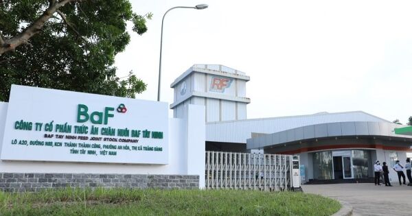 BAF lãi ròng kỷ lục, không còn nguồn thu từ nông sản