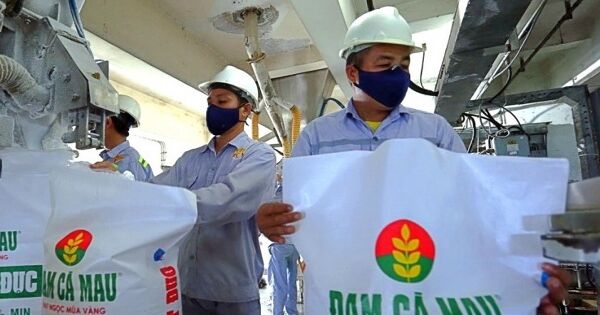 Đạm Cà Mau lãi bán niên hơn 1.200 tỷ, nắm 'túi tiền' hơn 11.000 tỷ đồng