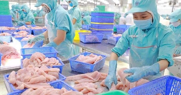 IDI báo lãi tăng 83%, cao nhất 11 quý