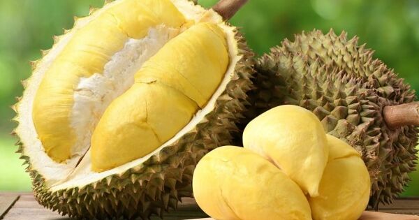 Sầu riêng trở lại đường đua xuất khẩu