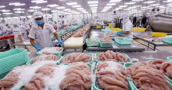 Chủ tịch Sao Ta: 'Tỷ lệ nội địa hoá thuỷ sản Việt Nam gần như tuyệt đối'