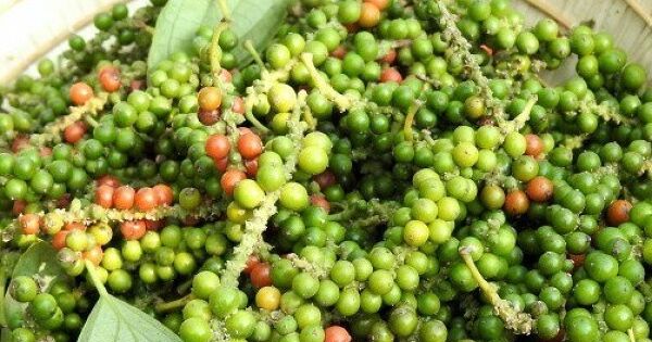 VPSA kiến nghị bỏ VAT, áp dụng thuế khoán xuất khẩu 0,5% với hồ tiêu và gia vị