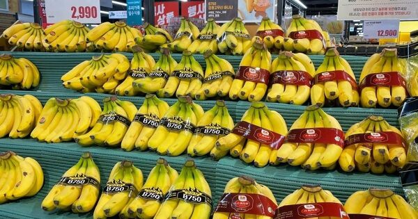 Công ty con của HAGL hút 1.000 tỷ đồng qua trái phiếu