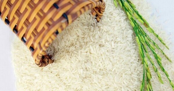 Philippines tạm ngừng nhập khẩu gạo: Bộ Công Thương đề nghị tháo gỡ qua kênh ngoại giao