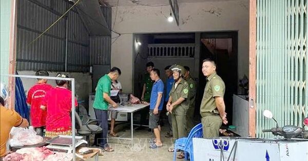 Siết chặt kiểm soát giết mổ, xử lý dứt điểm ổ dịch tả lợn châu Phi