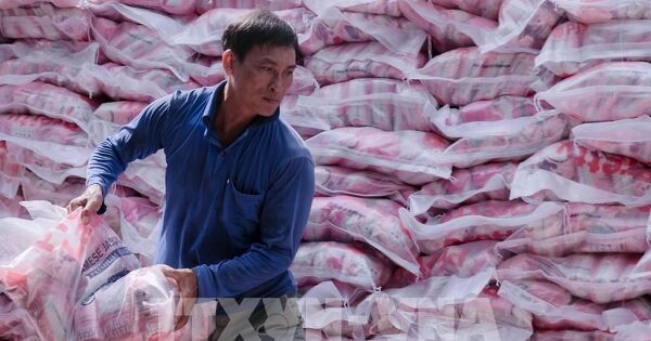 Thị trường nông sản: Giá gạo xuất khẩu tăng