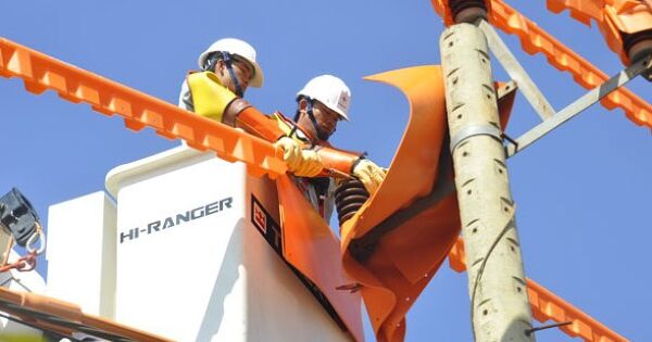 Đề xuất tính khoản lỗ, chênh lệch tỷ giá của EVN vào giá điện