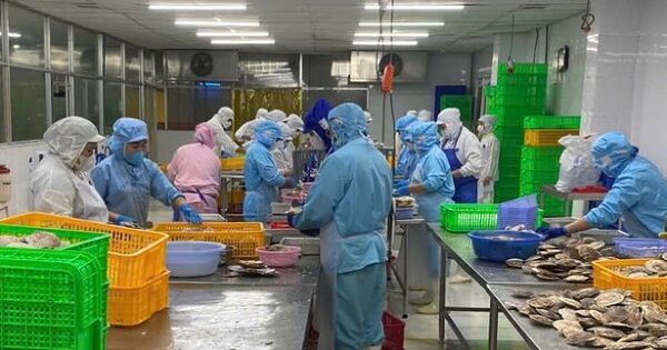 Cơ hội và thách thức cho nông sản Việt trước 'khoảng trống' tại thị trường EU
