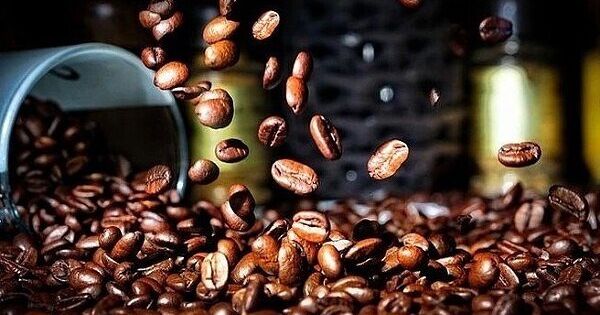 Giá cà phê leo thang, người Mỹ thử nghiệm tự trồng cà phê nội địa