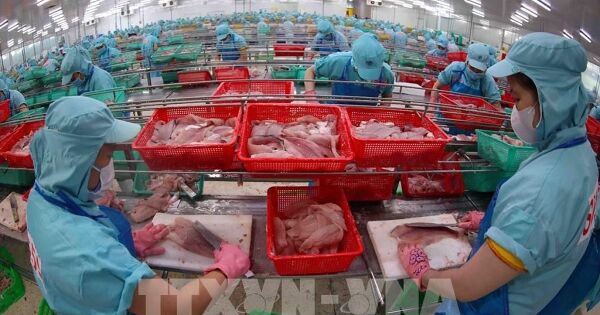 Đa dạng hóa thị trường: Bước đi chiến lược từ đổi mới xúc tiến thương mại
