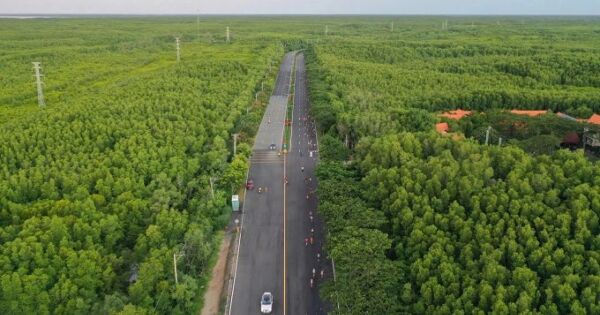 Metro đi Cần Giờ dự kiến có tốc độ 350 km/h