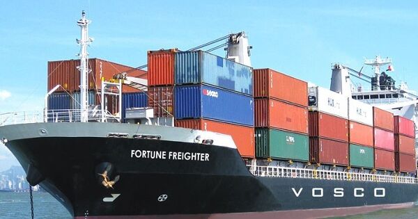 Một công ty vận tải biển chia cổ tức sau 14 năm