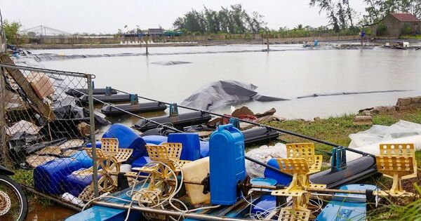 Trắng tay sau bão Kajiki