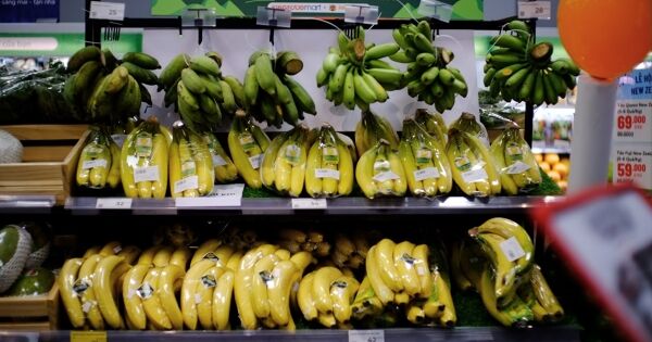 Xu hướng tiêu dùng thực phẩm sạch – động lực tăng trưởng mới cho các chuỗi siêu thị tại Việt Nam