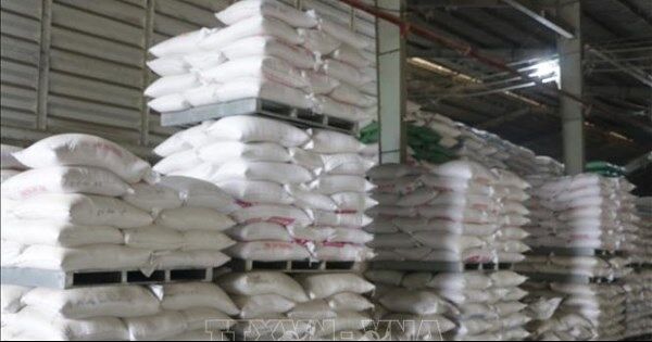 Giá gạo xuất khẩu đảo chiều tăng