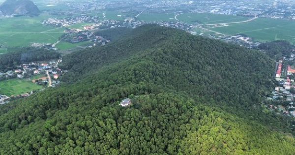 Việt Nam bán thêm 1 triệu tín chỉ carbon cho World Bank