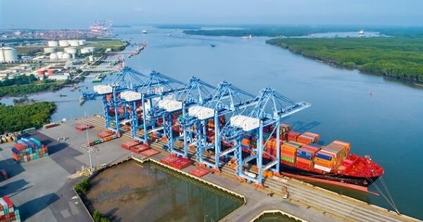 Chuỗi cung ứng cho siêu đô thị TP HCM - Bài cuối: Gỡ nút thắt chuỗi cung ứng