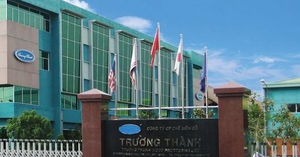 Thanh lý khoản đầu tư, Gỗ Trường Thành lãi đậm nửa đầu năm