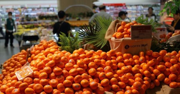 CPI 7 tháng đầu năm tăng 3,26%, giảm nhẹ so với mức tăng trung bình nửa đầu năm