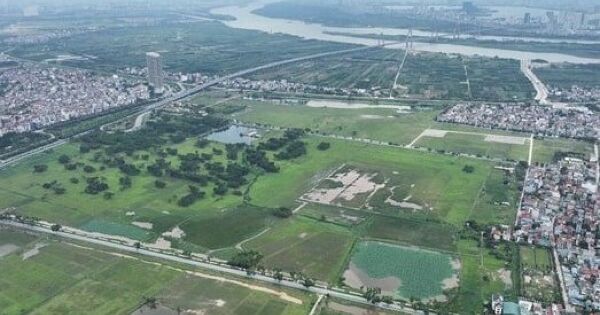 'Nhiều nhà đầu tư găm hàng gây lũng đoạn thị trường'