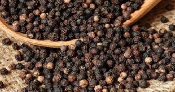 Giá tiêu có thể tiếp tục duy trì ở mức cao?