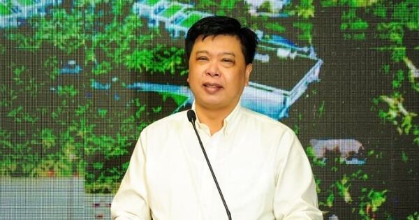 Nhóm công ty Crystal Bay của ông Nguyễn Đức Chi đồng loạt lỗ