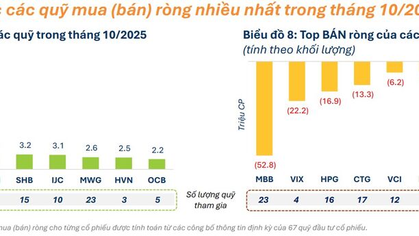 Tâm điểm Thị trường 19/11/2025  - Các quỹ Mua Bán gì trong tháng 10?