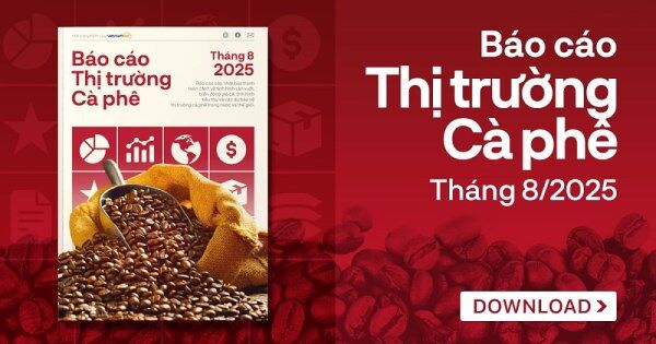 [Báo cáo] Thị trường cà phê tháng 8/2025: Giá cà phê tăng mạnh do nguồn cung khan hiếm