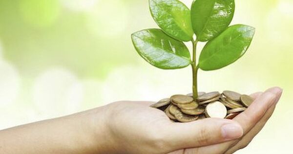 Gần 30 doanh nghiệp chốt quyền trả cổ tức tuần tới, tỷ lệ cao nhất 100%