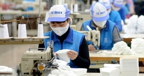 TCM báo lãi giảm trong tháng 8, đã nhận 60% đơn hàng quý IV