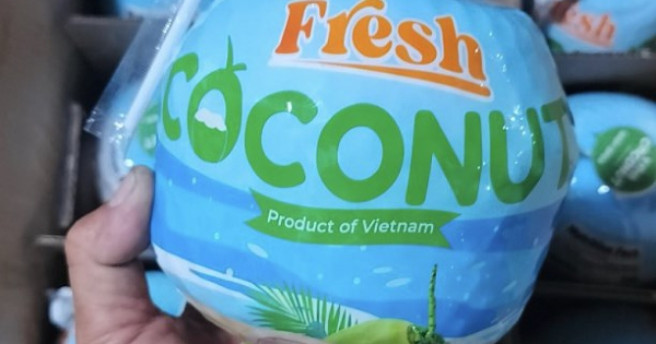 Mỹ vượt Trung Quốc thành thị trường nhập dừa lớn nhất của Việt Nam