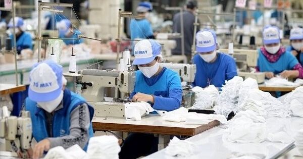 Vinatex muốn lấy ý kiến cổ đông để chia cổ tức năm 2024