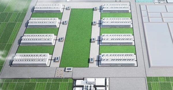 BAF bắt tay Muyuan đầu tư 12.000 tỷ đồng cho chăn nuôi heo nhà cao tầng tại Tây Ninh
