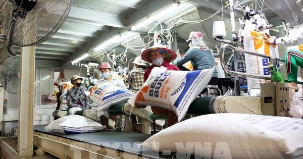 Philippines tạm dừng nhập khẩu gạo, Bộ Công Thương khuyến cáo doanh nghiệp