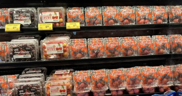 Xuất khẩu vải thiều tăng gấp ba cùng kỳ