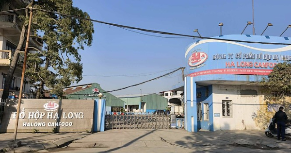 Tổng giám đốc Công ty Đồ hộp Hạ Long bị bắt trong vụ thịt heo nhiễm bệnh