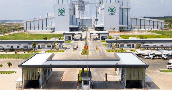 C.P. Việt Nam cùng hai doanh nghiệp chăn nuôi vào diện thanh tra về an toàn thực phẩm