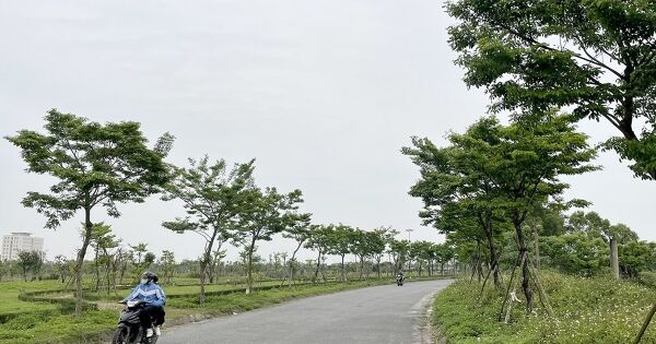 Vụ án Công ty Cây xanh Công Minh gây thiệt hại gần 400 tỷ đồng cho Nhà nước