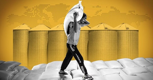 Thế giới trước làn sóng tích trữ lương thực chưa từng thấy trong nhiều thế kỷ